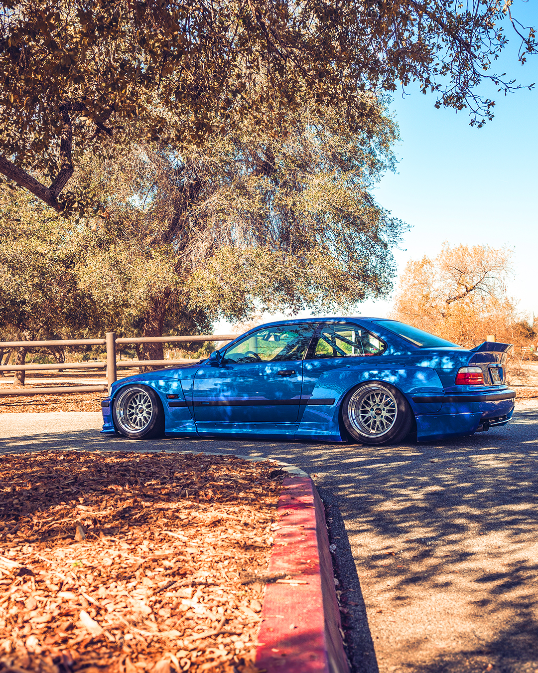 projectImages