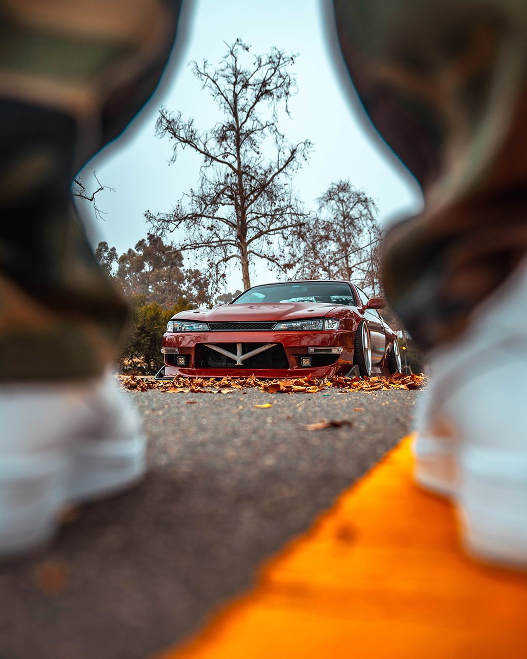 projectImages
